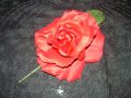 FLOR GITANA 2012 